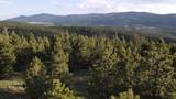 Lot 130 Beaver Loop - Photo 1