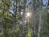 Lot 125 Beaver Loop - Photo 9