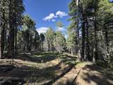 Lot 103 Zia Rd - Photo 14