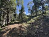 Lot 103 Zia Rd - Photo 15