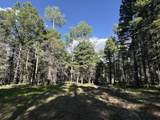 Lot 103 Zia Rd - Photo 16