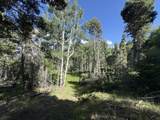 Lot 103 Zia Rd - Photo 20