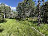 Lot 103 Zia Rd - Photo 24