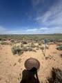 Lot 9F Arroyo Del Alamo Circle - Photo 42