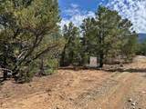 Tract B 266 Gallina Canyon Road - Photo 10