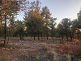 Tract B 266 Gallina Canyon Road - Photo 22