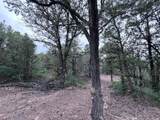 Lot 61 Upper Pinabete - Photo 3