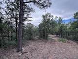Lot 61 Upper Pinabete - Photo 6