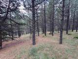 Lot 1032 Woodlands Dr - Photo 22