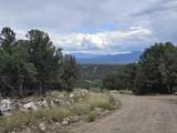  Lobo Ranch Road - Photo 15