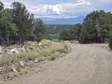  Lobo Ranch Road - Photo 16