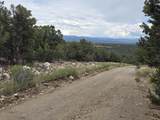  Lobo Ranch Road - Photo 17