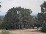  Lobo Ranch Road - Photo 2