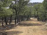  Lobo Ranch Road - Photo 3