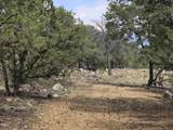  Lobo Ranch Road - Photo 4