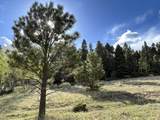 Lot 1023 Starshine Overlook - Photo 5