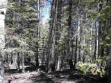 Lot 14 Back Basin Road - Photo 11