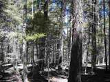 Lot 14 Back Basin Road - Photo 12