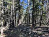 Lot 14 Back Basin Road - Photo 13