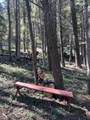 Lot 14 Back Basin Road - Photo 4