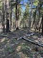 Lot 14 Back Basin Road - Photo 6