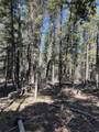 Lot 14 Back Basin Road - Photo 7