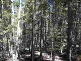 Lot 14 Back Basin Road - Photo 8