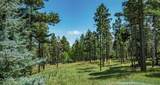14 Sierra Blanca Trail - Photo 49