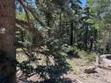 Lot 1012 El Camino Real - Photo 13