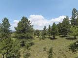 9 Buckskin Road - Photo 28