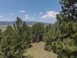 9 Buckskin Road - Photo 33