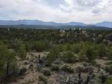 Tract 5 Trementina Trail - Photo 10