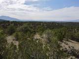 Tract 5 Trementina Trail - Photo 12