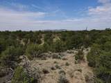 Tract 5 Trementina Trail - Photo 19