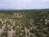 Tract 5 Trementina Trail - Photo 20