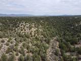 Tract 5 Trementina Trail - Photo 21