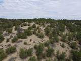 Tract 5 Trementina Trail - Photo 22