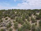 Tract 5 Trementina Trail - Photo 23