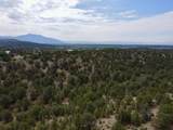 Tract 5 Trementina Trail - Photo 24