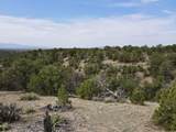 Tract 5 Trementina Trail - Photo 25