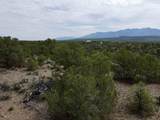 Tract 5 Trementina Trail - Photo 27