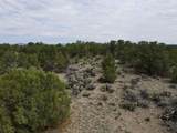 Tract 5 Trementina Trail - Photo 28