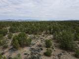 Tract 5 Trementina Trail - Photo 29
