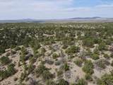 Tract 5 Trementina Trail - Photo 30