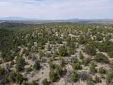 Tract 5 Trementina Trail - Photo 31