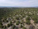Tract 5 Trementina Trail - Photo 32