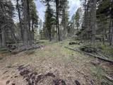 Lot 75 Vermejo Cir - Photo 2