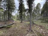 Lot 75 Vermejo Cir - Photo 3