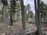 Lot 76 Vermejo Cir - Photo 5