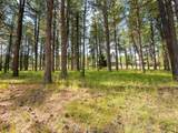 Lot 1127 Spyglass Hill Rd - Photo 19